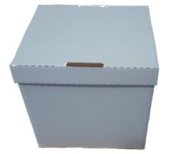 CAIXA CENTENARIO BRANCA 5LTS