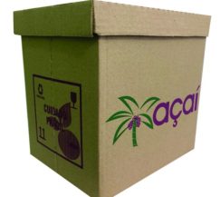 CAIXA VIVA BOX ACAI PARDA 10 LITROS 35 UN.