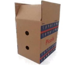 CAIXA VIVA BOX PICOLE MEDIA 50UN