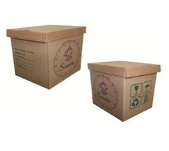 CAIXA VIVA BOX SORVETE PARDA 10 LITROS 35 UN.