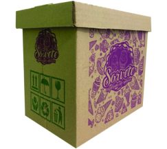 CAIXA VIVA BOX SORVETE PARDA 5 LITROS 35 UN.