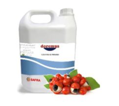 DOREMUS AROMA GUARANA 4LTS