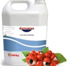 DOREMUS EXTRATO DE GUARANA 4LTS