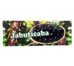 RIACHO SAQUINHO PICOLE JABUTICABA 200 GR