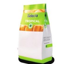 SELECTA SABOR TROPICAL ABACAXI 1KG