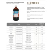 Liga|SELECTA LIQUIDO MORANGO 1L
