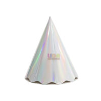 SILVER FESTA CHAPEU PAPEL FURTA COR C/8UN