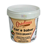 SORVETE MIX GRADUUS SABOR COCO BRANCO 100GR